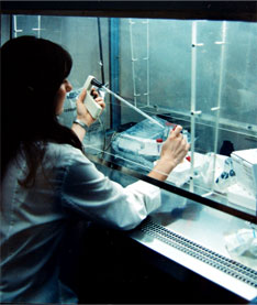 Laboratorio